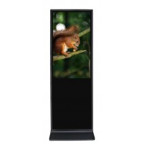 FMYXD55P-WB9 Double Sided 55” 